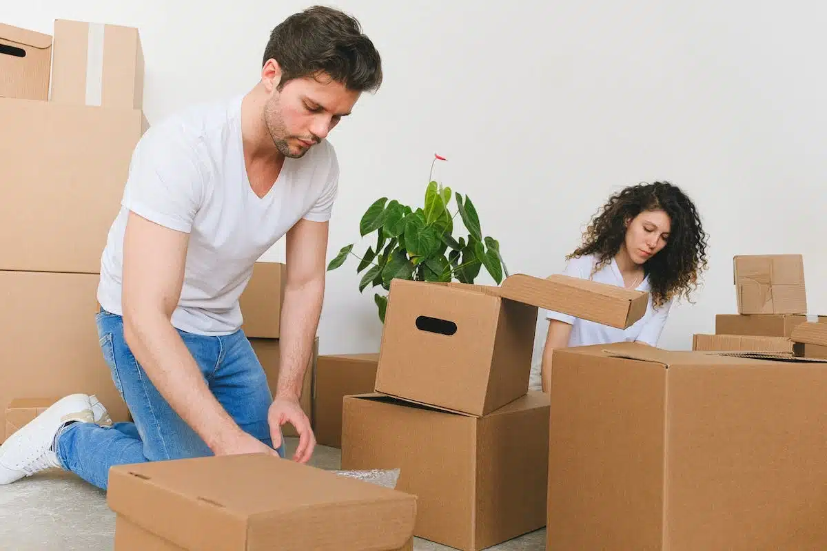 préparation cartons